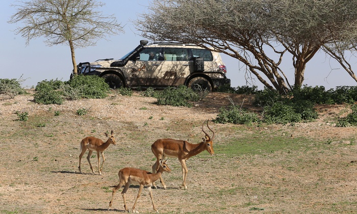 Zoo and Learning Centre Entry with Optional Truck or 4x4 Safari for Up to Six at Al Ain Zoo